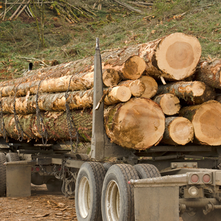 Chains & Chain Binders
